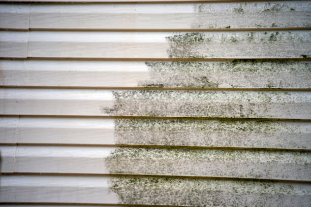 Trusted Baxley, GA Junk Removal Experts